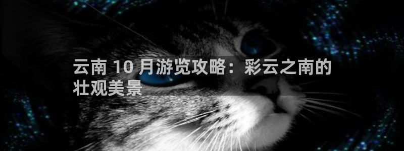云顶4008集团官网