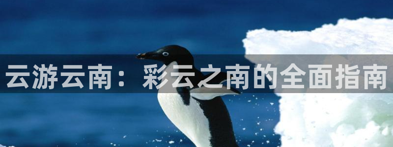 云顶集团最新官方网站入口