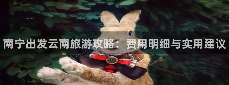 yd222云顶线路检测中心