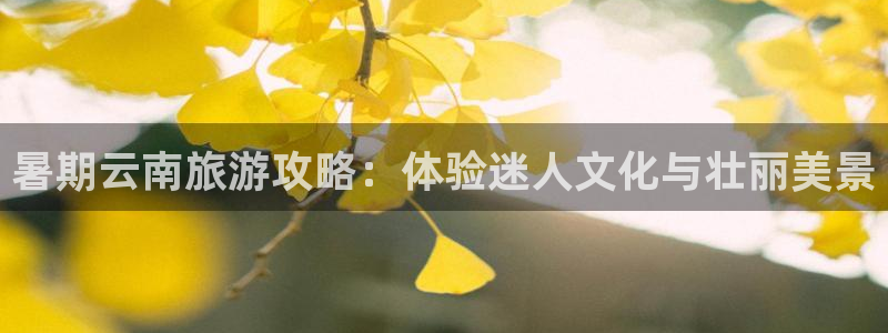 旧版云顶国际yd222登录入口