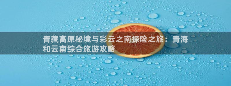 云顶国际app下载唯一平台