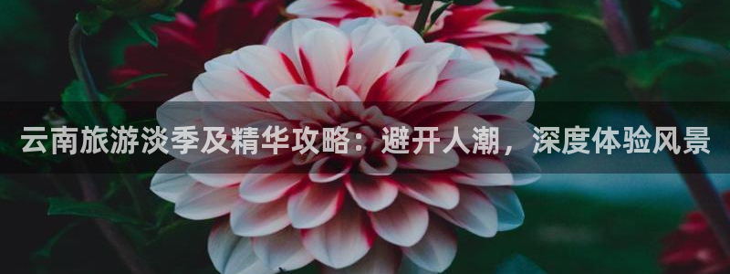 云顶yd222备用线路检测