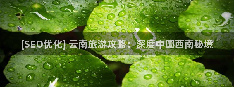 云顶4008集团官网