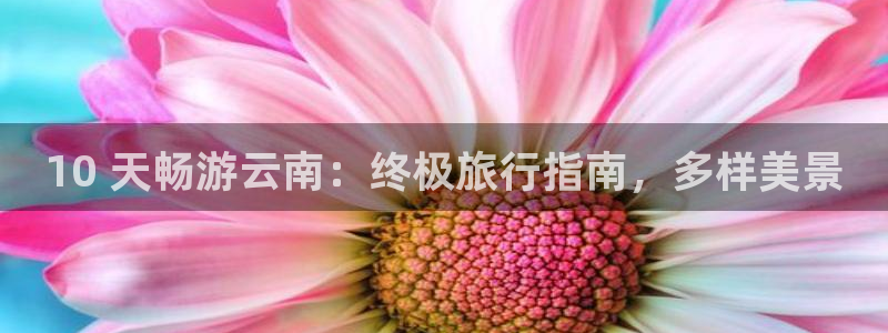 yd77699云顶国际
