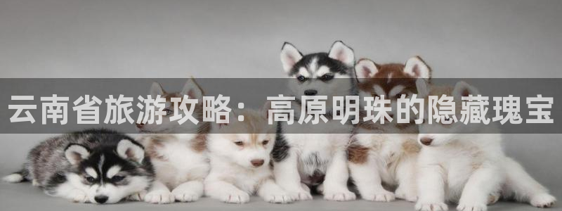 云顶国际官网唯一官方网站