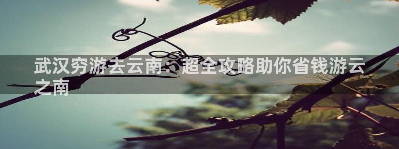 云顶4008游戏登录
