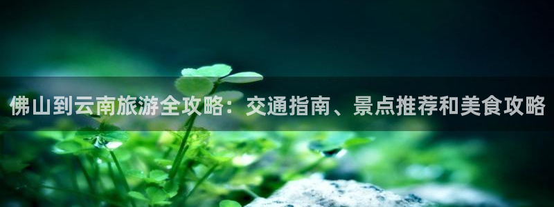 云顶集团3118acm登录入口