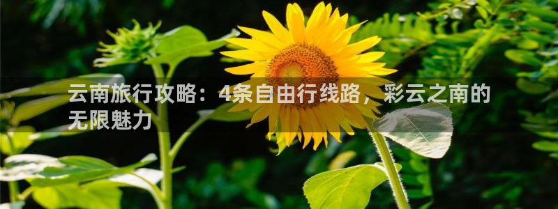 旧版云顶国际yd222登录入口
