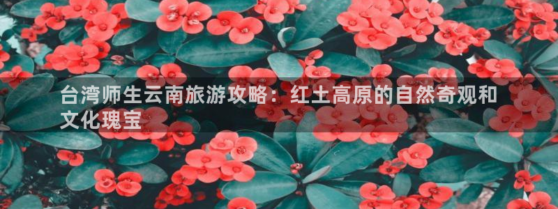 云顶国际平台官网入口
