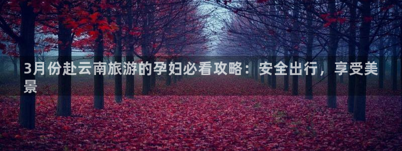 云顶国际官网下载